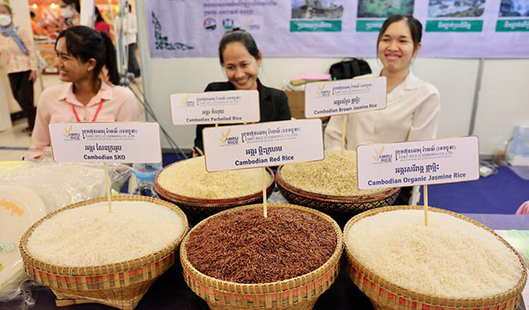 Cambodia earns $1.4 bilion from rice exports in 8 months